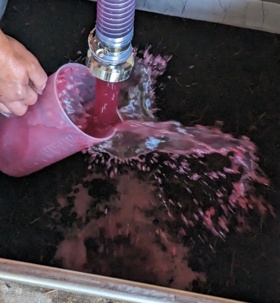 Domaine Azzara - Winemaking